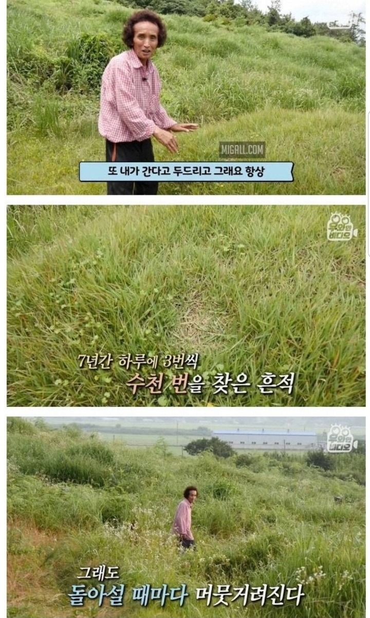 스압) 할아버지의 무덤 로맨스.jpg | 인스티즈