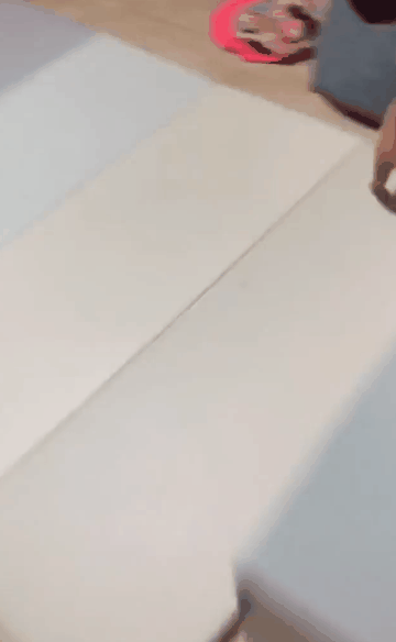 고양이의 엄청나고 놀라운 체력.gif | 인스티즈