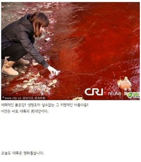 대륙의 강물을 알아보자.jpg | 인스티즈