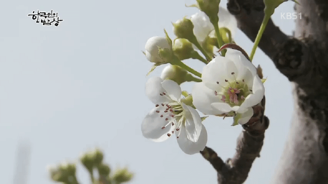 한국인의 밥상 섬진강편 | 인스티즈