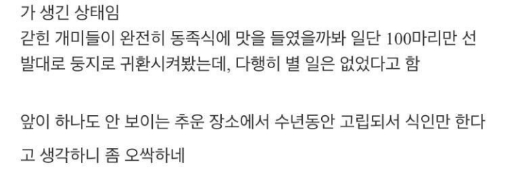 냉혹한 개미의 생존력....JPG | 인스티즈