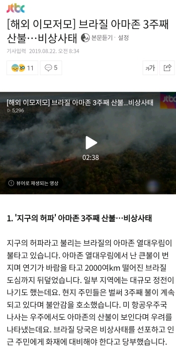 아마존을 위해 기도해주세요 (사진 주의) | 인스티즈