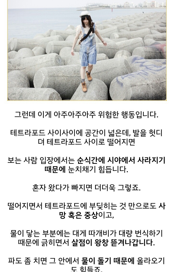 방파제가 위험한 이유 | 인스티즈