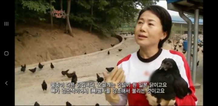 한국인의 밥상 삼계탕편 | 인스티즈