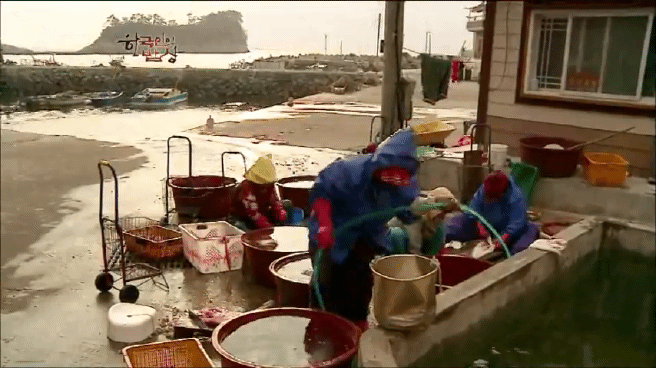 한국인의 밥상 물메기 밥상편 | 인스티즈