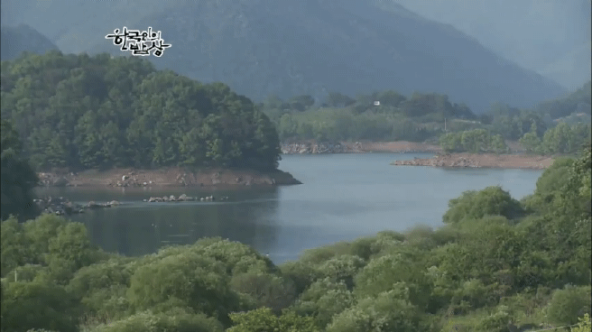한국인의 밥상 옥천 민물고기 밥상편 | 인스티즈