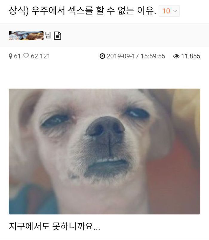 우주에서 섹스를 못하는 이유 | 인스티즈