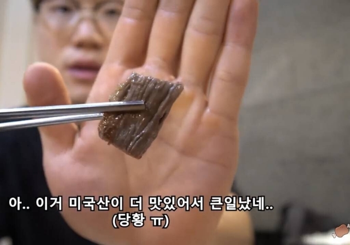 한우 vs 미국 소고기 리뷰하는 유튜버들.jpg | 인스티즈
