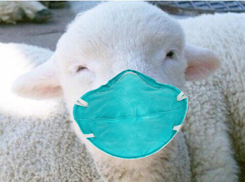 서울대 의대생이 사과할때 하는말은? | 인스티즈