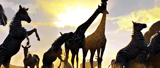 라이온킹 1994/2019 비교.jpgif | 인스티즈