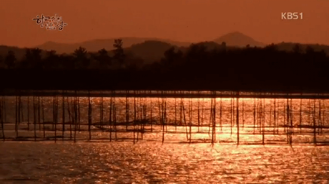 한국인의 밥상 무안 황토 갯벌 밥상편 | 인스티즈