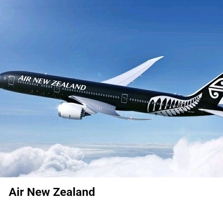 특이한 디자인을 가진 세계 항공사들 | 인스티즈