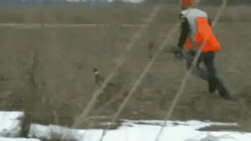 이 정도는 되야 명사수지 | 인스티즈