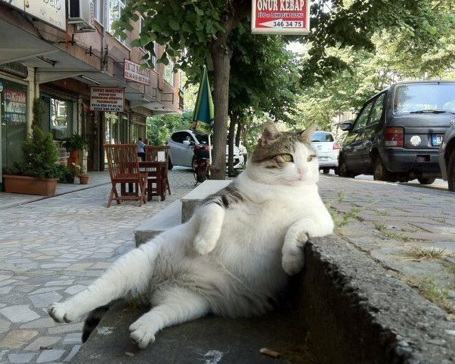 상추 꼬다리 파혼남 근황 | 인스티즈