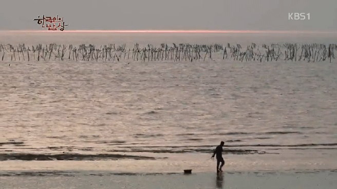 한국인의 밥상 무안 황토 갯벌 밥상편 | 인스티즈