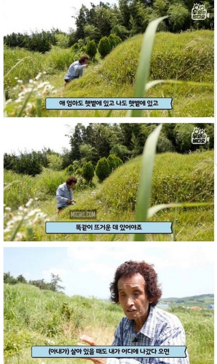 스압) 할아버지의 무덤 로맨스.jpg | 인스티즈