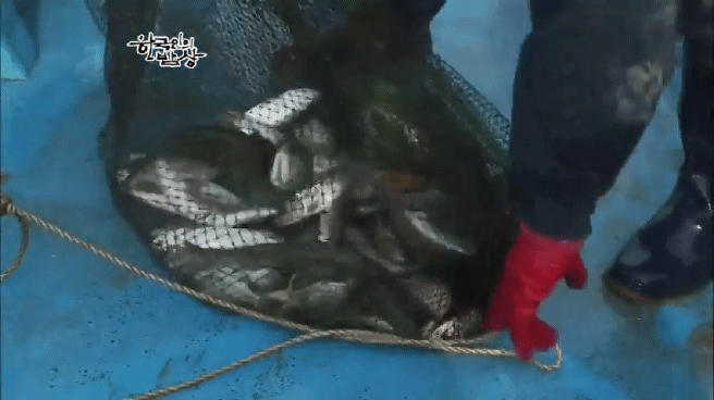 한국인의 밥상 옥천 민물고기 밥상편 | 인스티즈