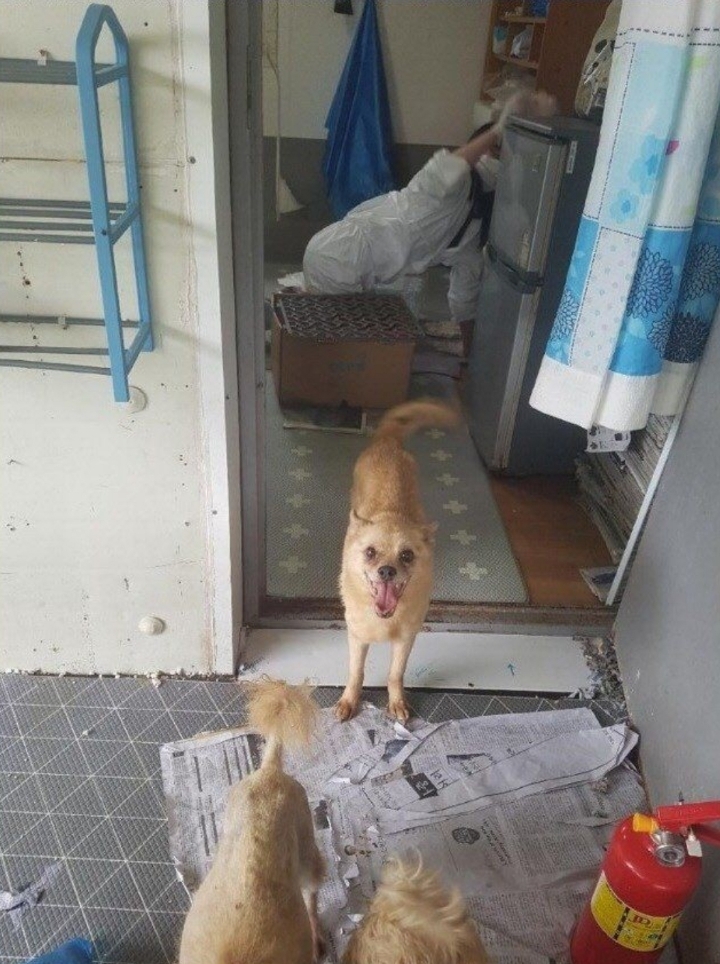 대한민국 연예인 원탑.jpg | 인스티즈