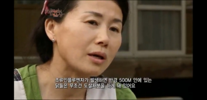 한국인의 밥상 삼계탕편 | 인스티즈