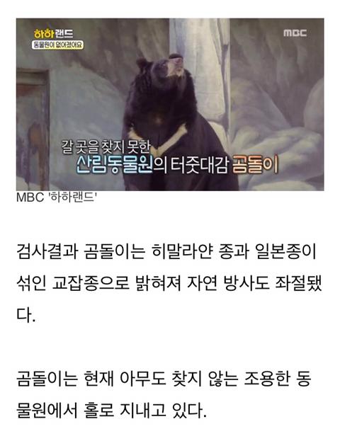 경영난으로 문 닫은 텅 빈 포천동물원에서 홀로 빈 집 지키는 곰돌이 | 인스티즈