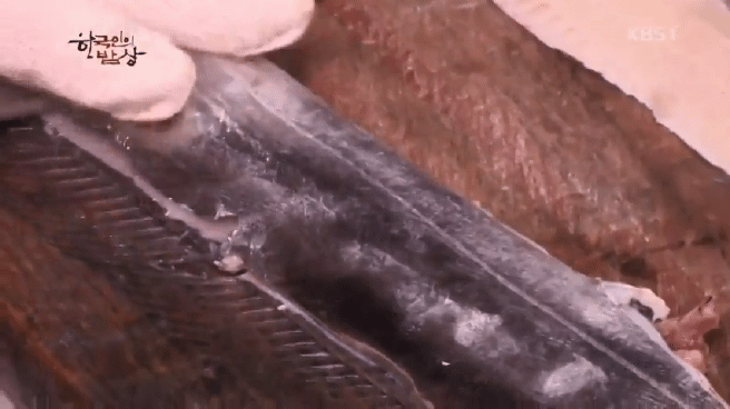 한국인의 밥상 갈치편 | 인스티즈