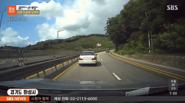 갑자기 쓰러지는 나무 gif | 인스티즈