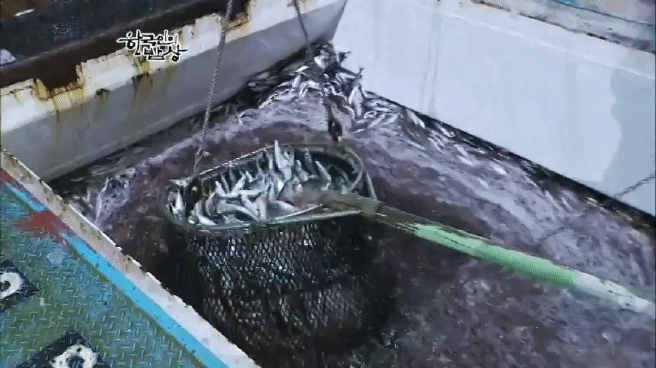 한국인의 밥상 고등어편 | 인스티즈