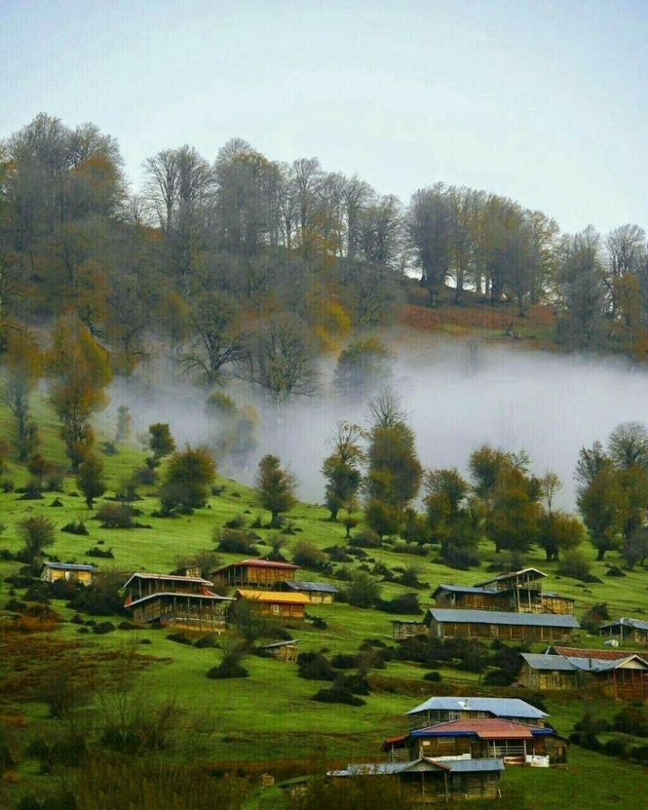 집 콕 세계여행 : 이란 | 인스티즈