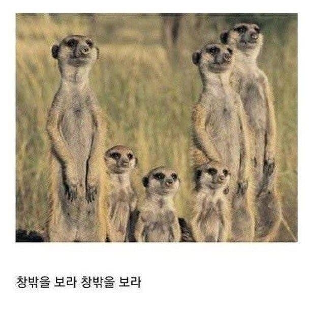 한국 지하철의 유일한 결점.jpg | 인스티즈