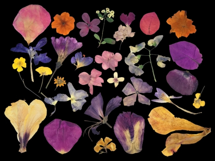 20대백수 검사사칭 레전드.jpg | 인스티즈