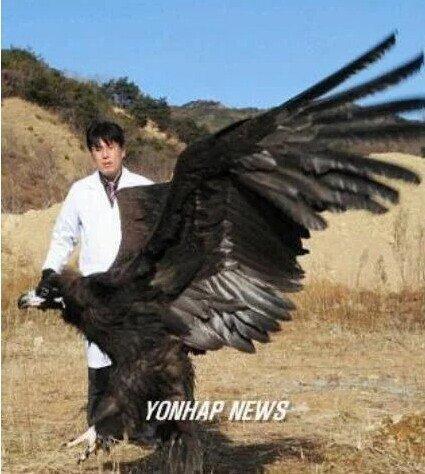 독수리 체감짤 . 그리고~ | 인스티즈