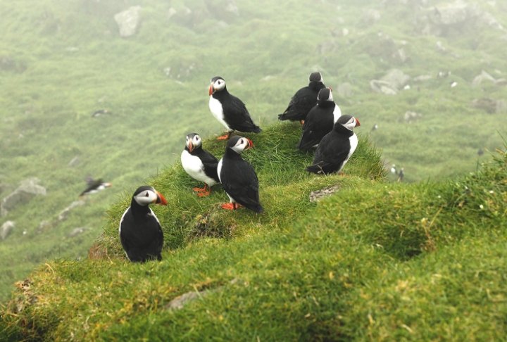 자연 경관이 아름답기로 손꼽히는 곳.jpg | 인스티즈
