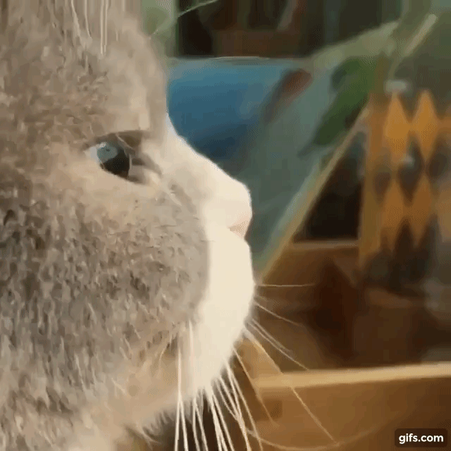 역대급 옆태.gif | 인스티즈