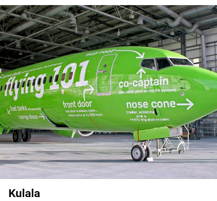 특이한 디자인을 가진 세계 항공사들 | 인스티즈