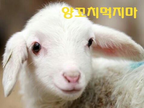 아이가 산성이면? | 인스티즈