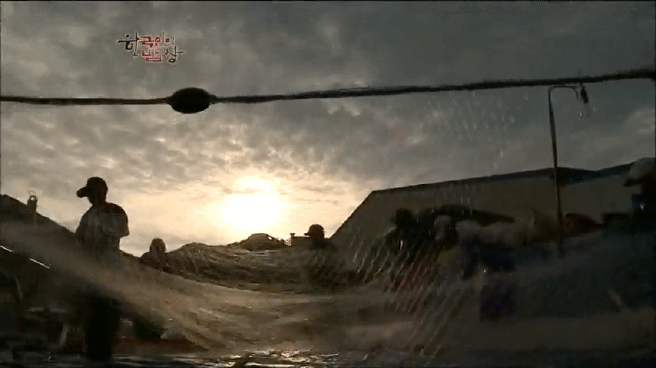 한국인의 밥상 추자도 참조기 밥상편 | 인스티즈