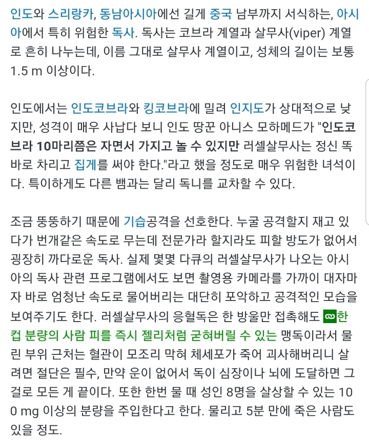 피를 굳게 만드는 러셀 살무사의 독.gif (혐오주의) | 인스티즈