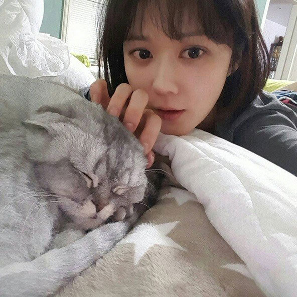 대한민국 연예인 원탑.jpg | 인스티즈