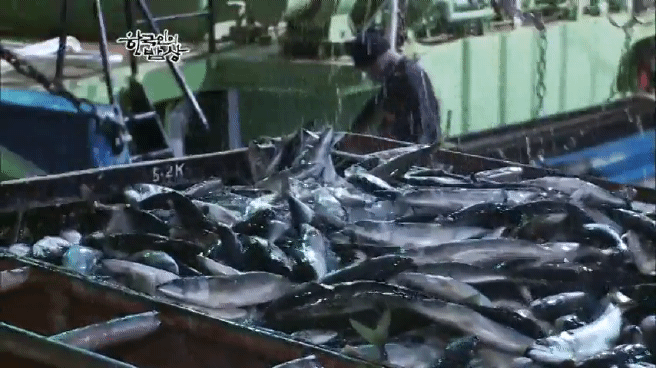 한국인의 밥상 고등어편 | 인스티즈