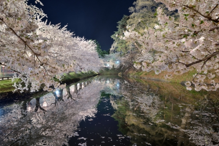 유튜브 창업자와 결혼한 한국여성.jpg | 인스티즈