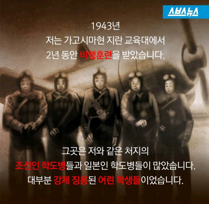 카미카제 이미지