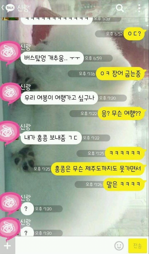 제주도 레전드.jpg | 인스티즈