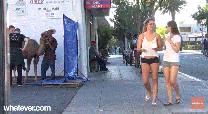 와~ 도끼자국 엄청 크다~ | 인스티즈