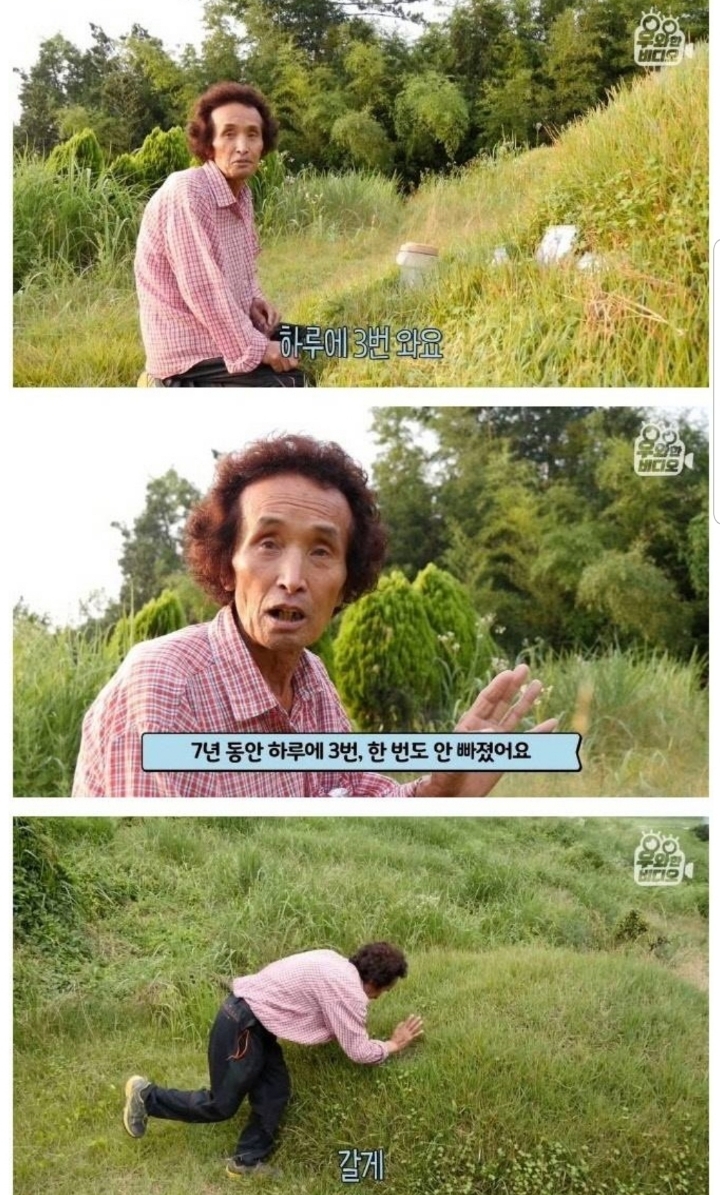 스압) 할아버지의 무덤 로맨스.jpg | 인스티즈