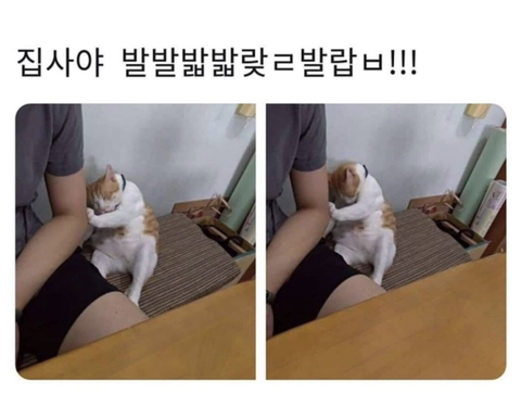 집사야~ | 인스티즈
