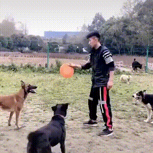 견자단.gif | 인스티즈