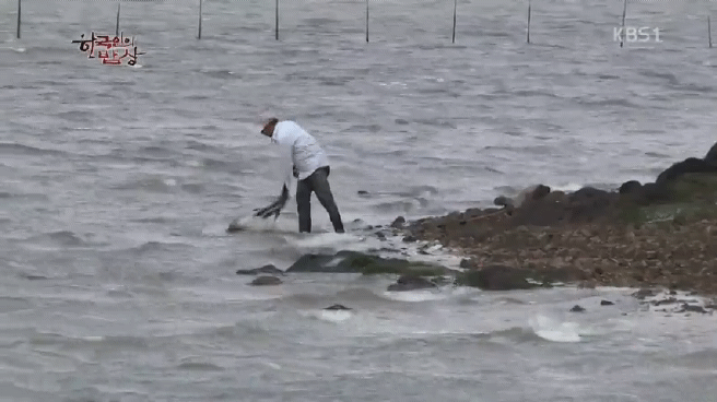 한국인의 밥상 무안 황토 갯벌 밥상편 | 인스티즈