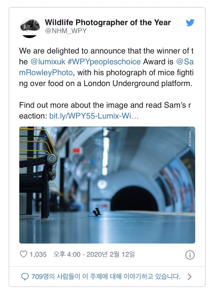 런던 지하철에서 멱살잡이 하는 쥐 | 인스티즈