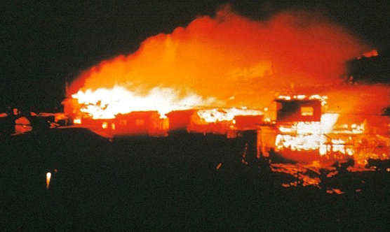 대한민국 역사학계 최악의 사건 | 인스티즈