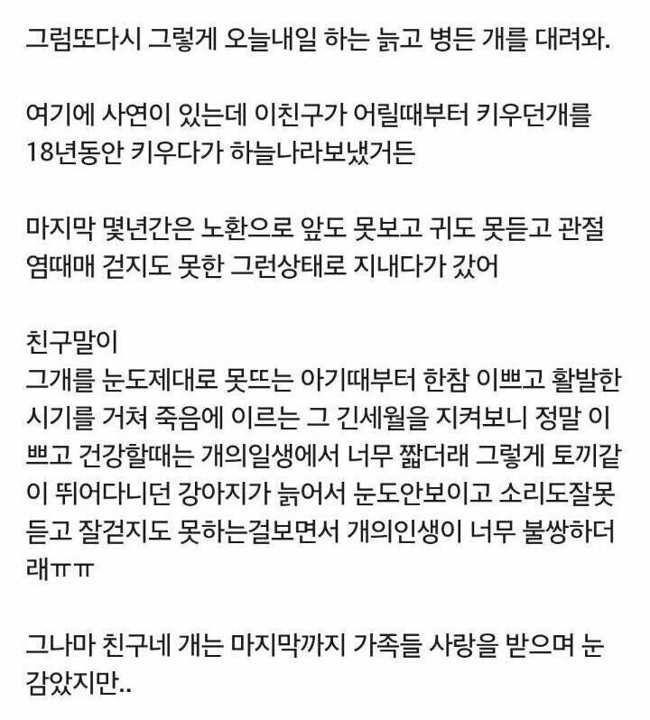 친구가 늙은 개만 입양하는 이유.jpg | 인스티즈